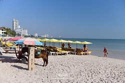 ชายหาดหัวหิน