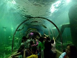 Sisaket Aquarium