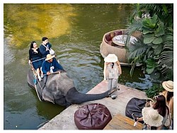มองช้าง คาเฟ่